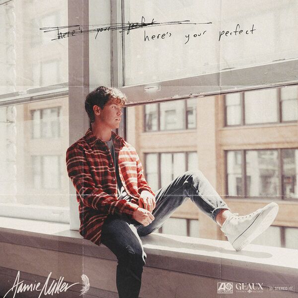 File:Heres your perfect single cover.jpeg