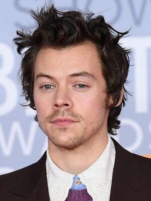 Harry styles.jpg