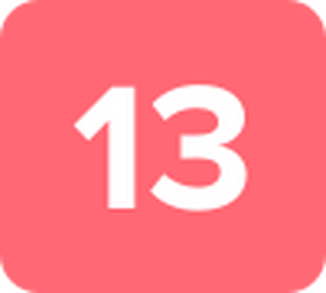 13.svg