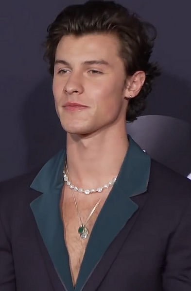 File:Shawn Mendes.png